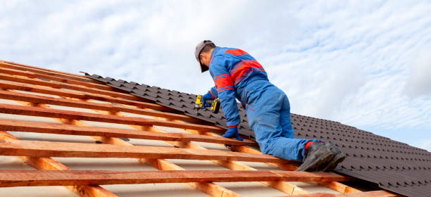 Fast & Reliable Emergency Roof Repairs in Alamo, TN